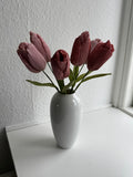 Tulipan - Gammelrosa