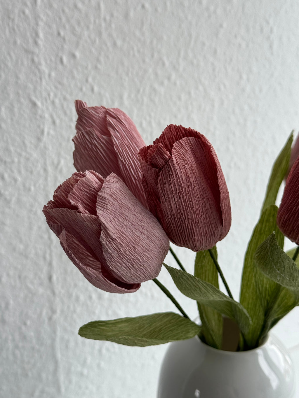 Tulipan - Gammelrosa
