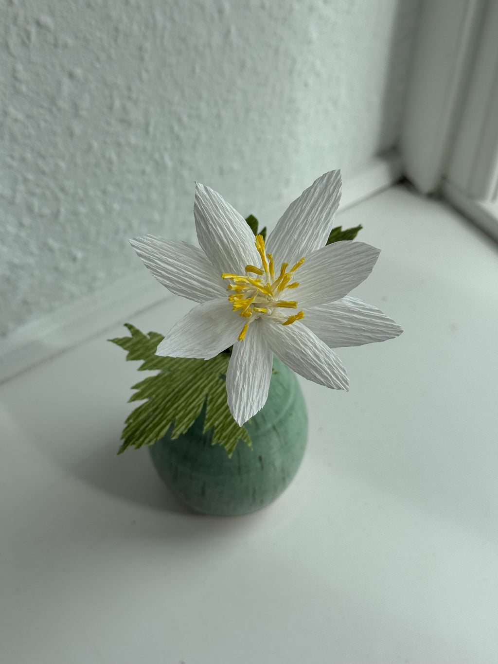 Hvid Anemone